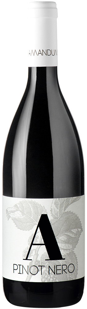 2019 Pinot Nero Friuli Isonzo DOC