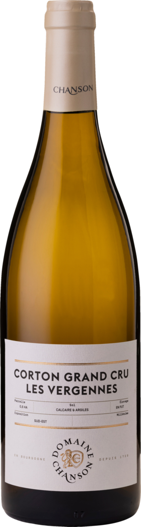 2023 Domaine Chanson Corton Vergènnes reflection