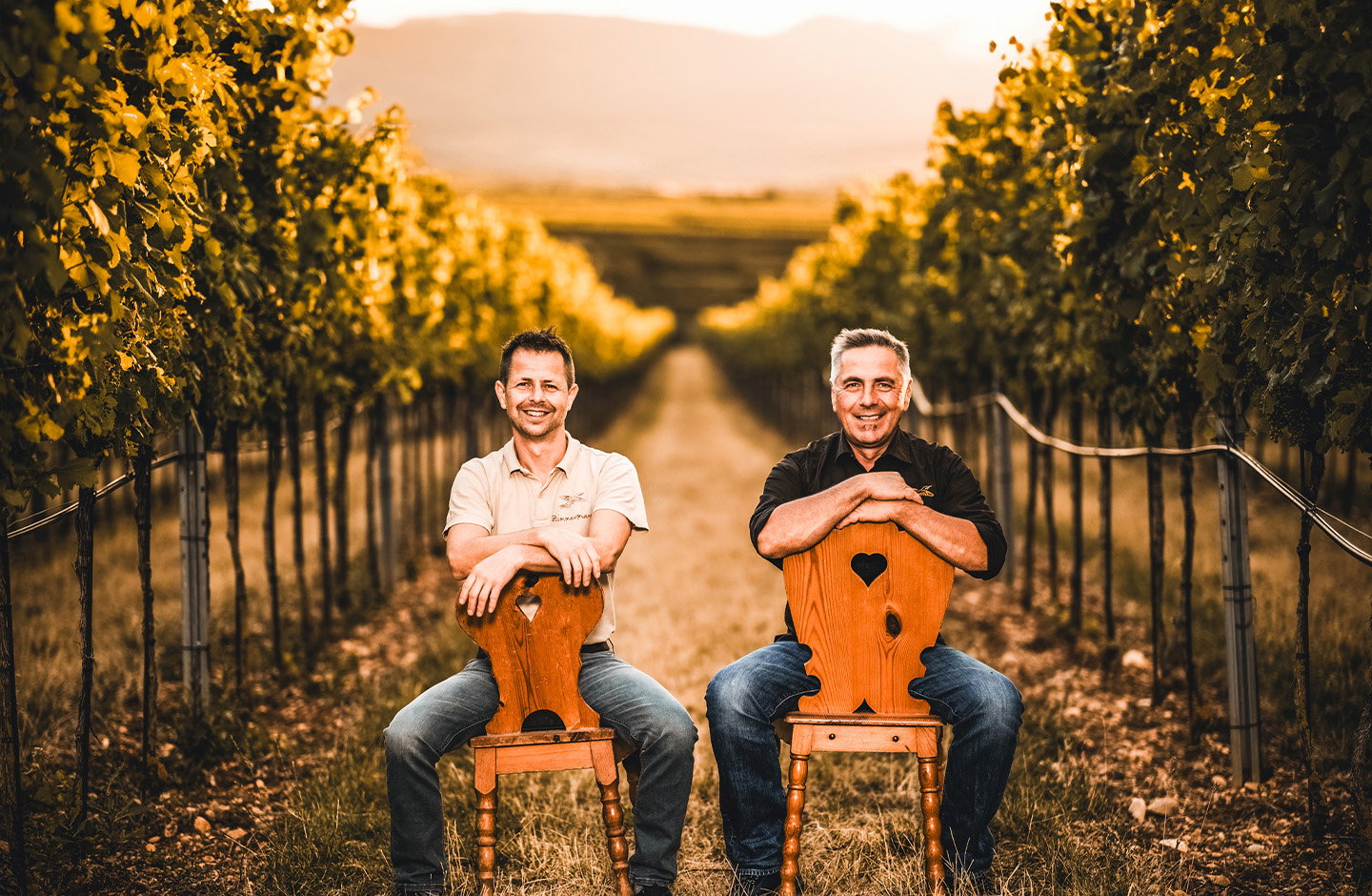 Bestseller: Alois Zimmermann Aktionspaket