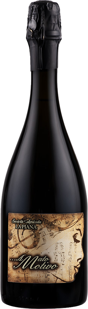 2024 Amato Motivo BIO