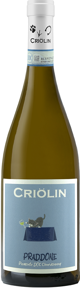 2024 Praddone Piemonte DOC