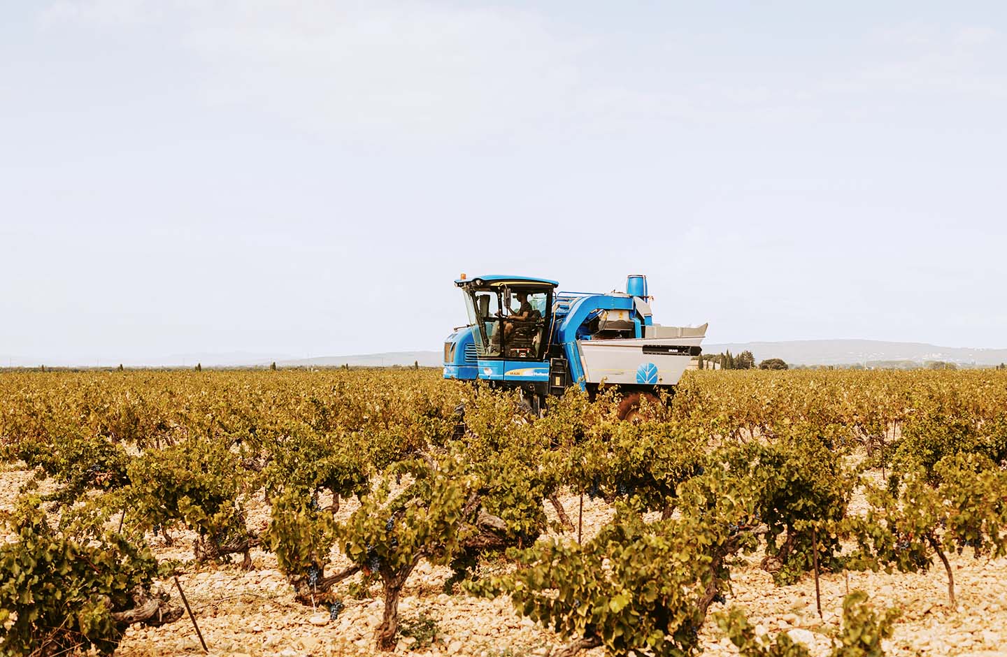 Château la Thébaïde