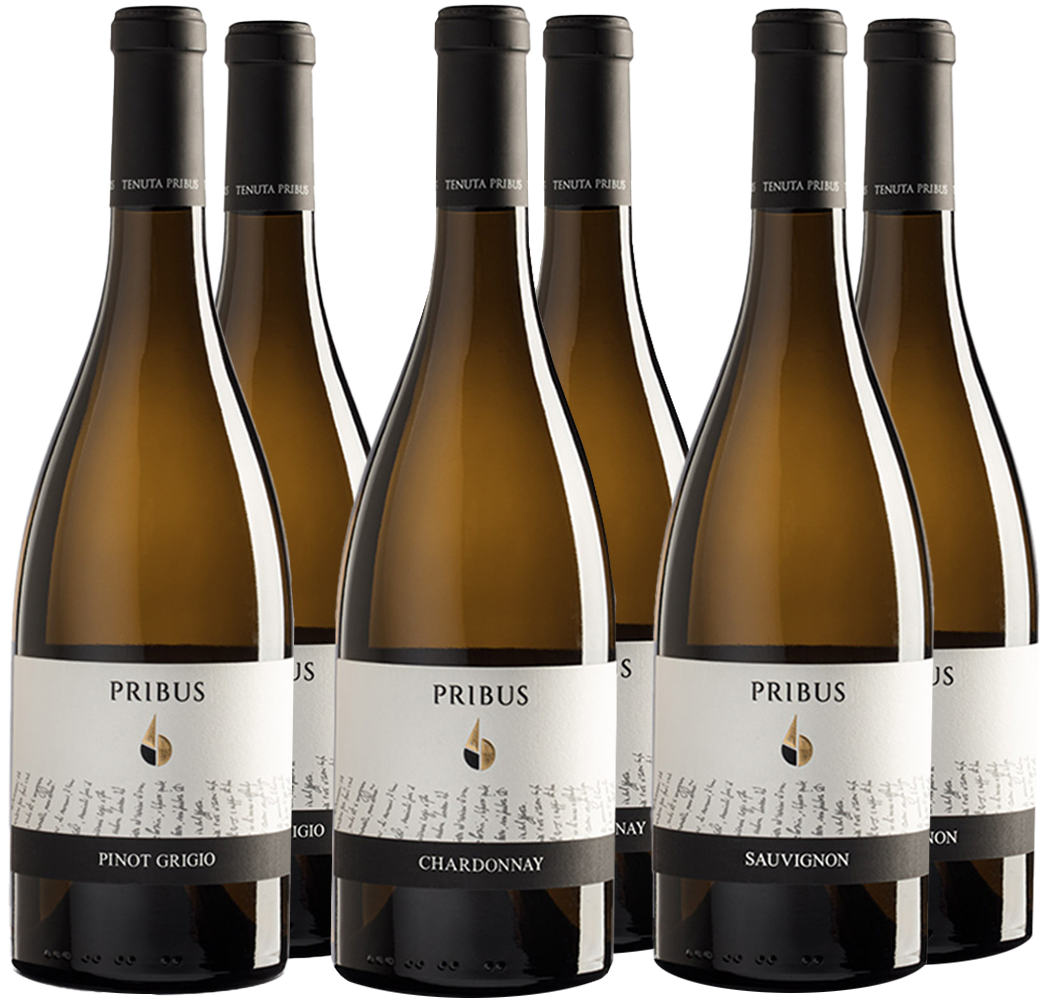 Pribus Kennenlern-Paket