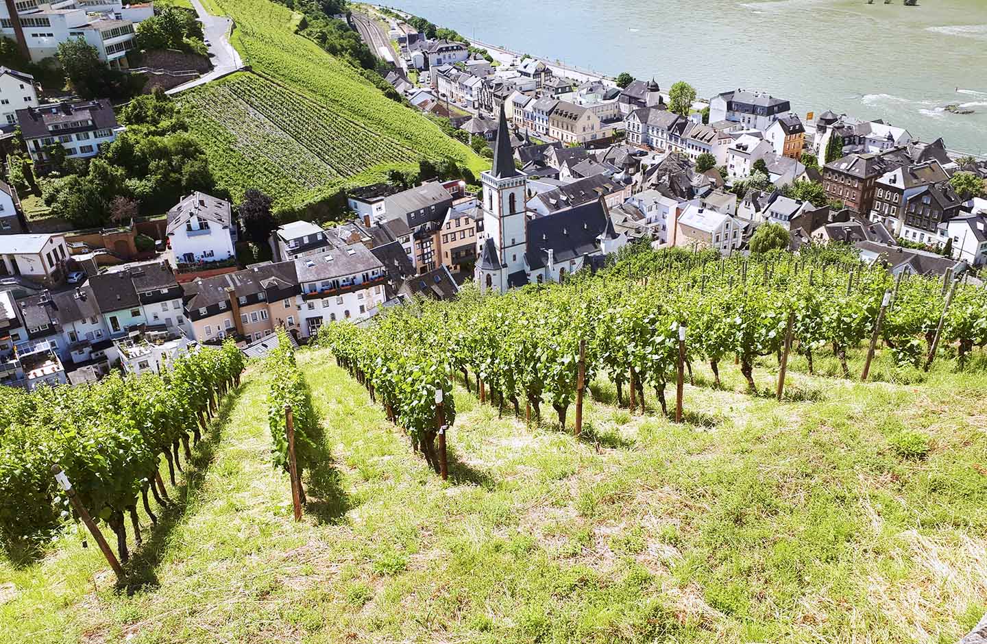 Klaus u. Ursula König