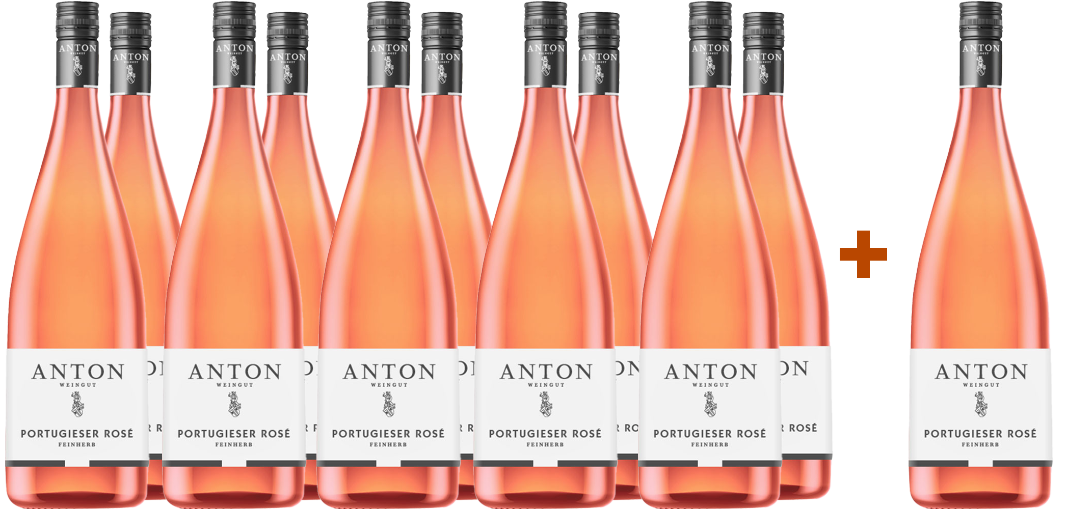 11+1 2024 Portugieser Rosé Weißherbst