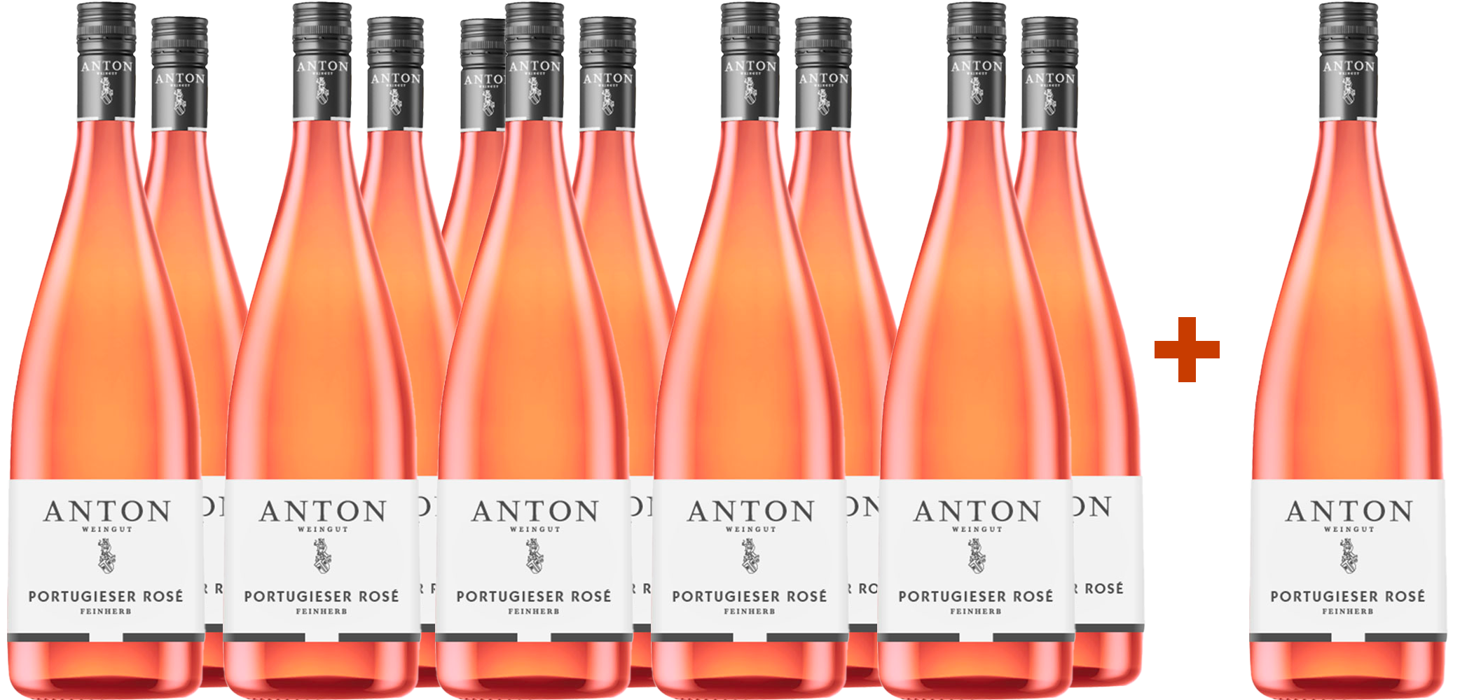 11+1 2024 Portugieser Rosé Weißherbst