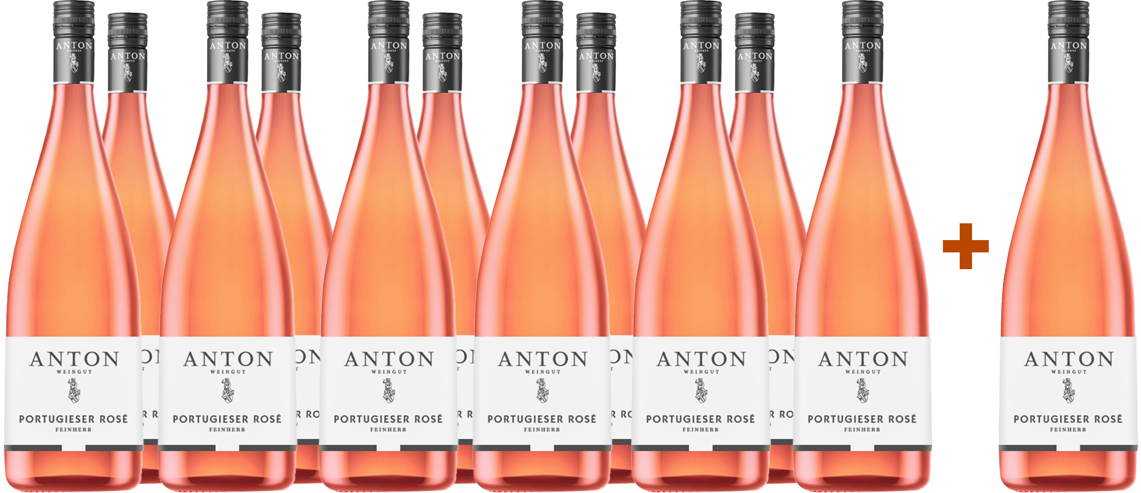11+1 2024 Portugieser Rosé Weißherbst