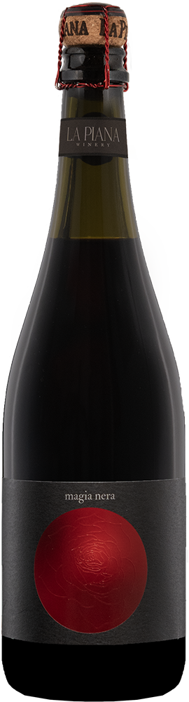 2025 Magia Nera Lambrusco Grasparossa di Castelvetro DOC BIO