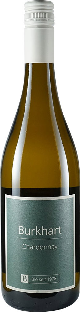2025 Chardonnay BIO