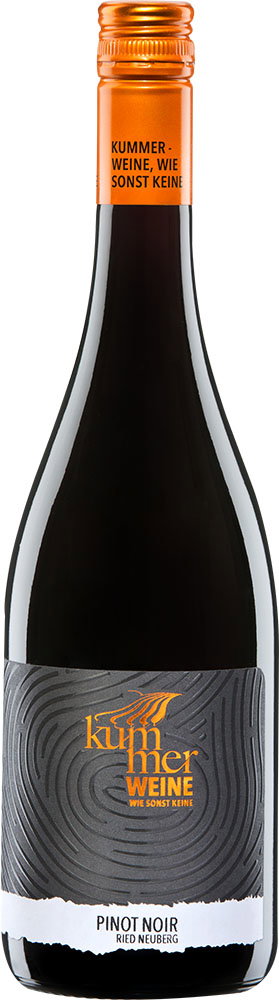 2023 Pinot Noir Ried Zeiselberg