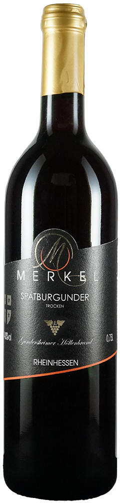 2024 Gundersheimer Höllenbrand Spätburgunder