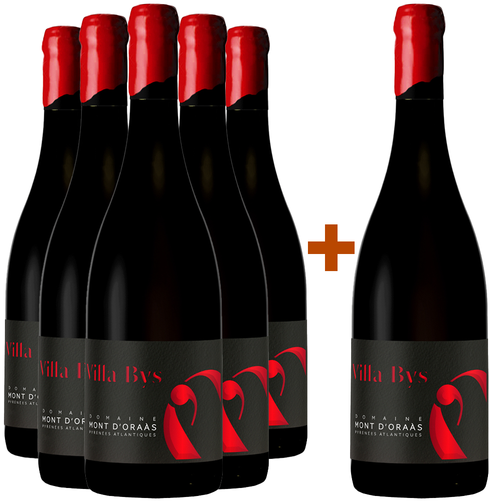 5+1 Paket 2020 Cuvée "Villa Bys" Bio BIO