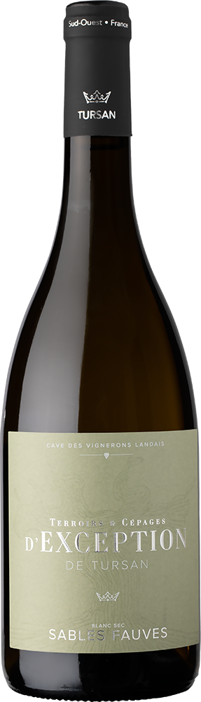 2022 Cuvée "Exception Sables Fauves" Tursan AOP rouge