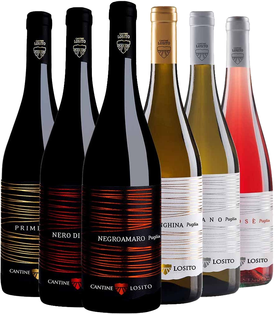 Cantine Losito Kennenlern-Paket BIO