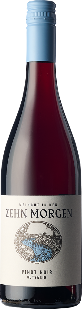 2022 Pinot Noir - Gutswein BIO