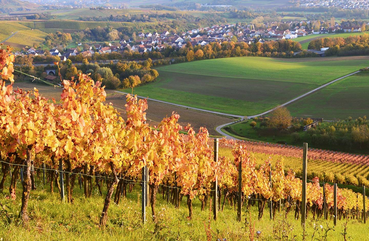 Genossenschaftskellerei Heilbronn-Erlenbach-Weinsberg
