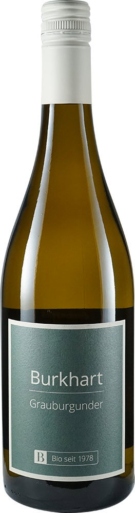 2024 Grauburgunder BIO