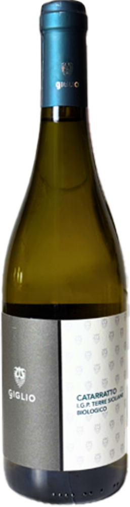 2024 Catarratto BIO