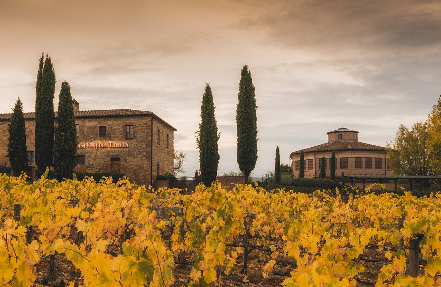 Santavenere