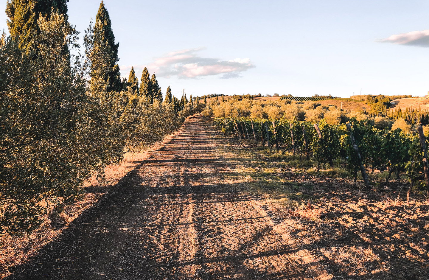 La Chimera D'Albegna