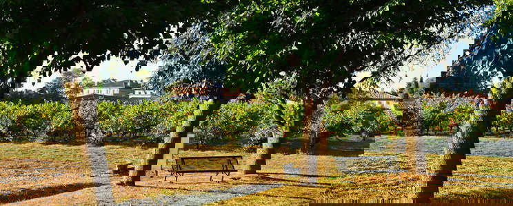 Château la Mondette