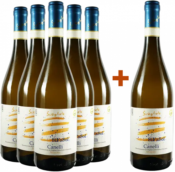 Weinpaket mit wenig Alkohol im Angebot