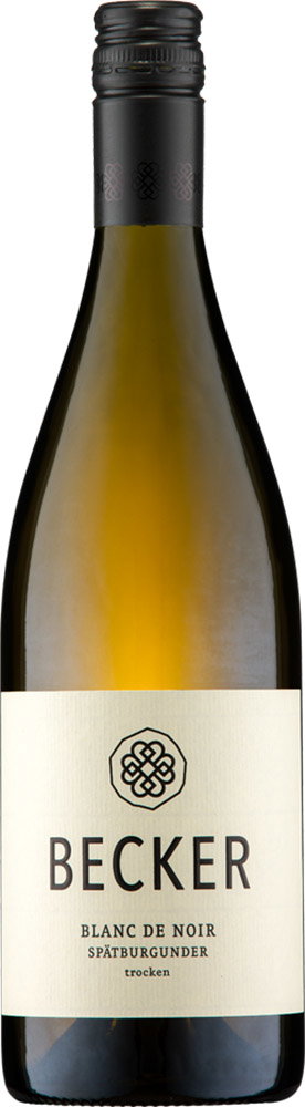 2025 Spätburgunder -BLANC DE NOIR-