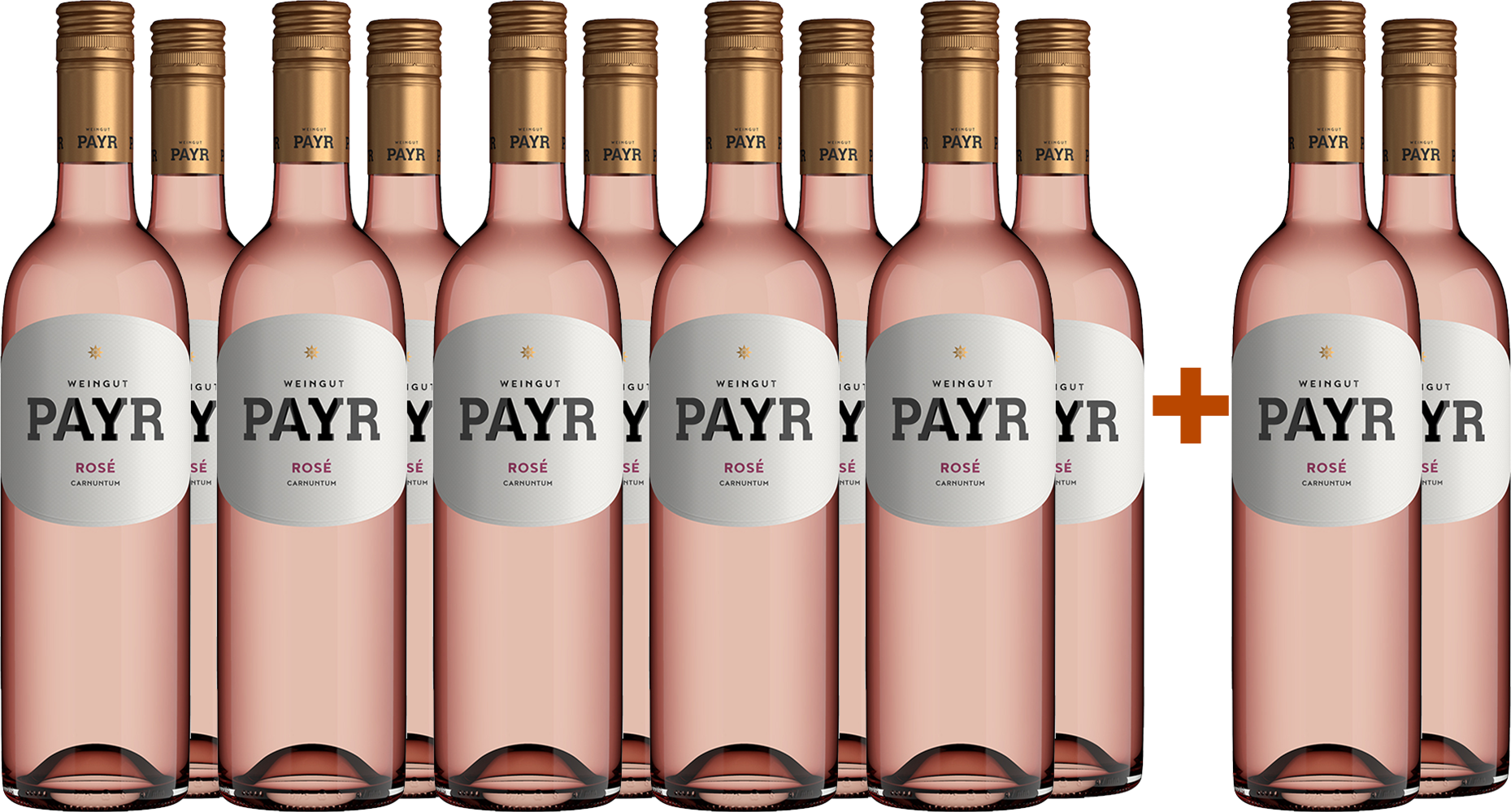 10+2 Rosé ÖTW Gutswein BIO BIO