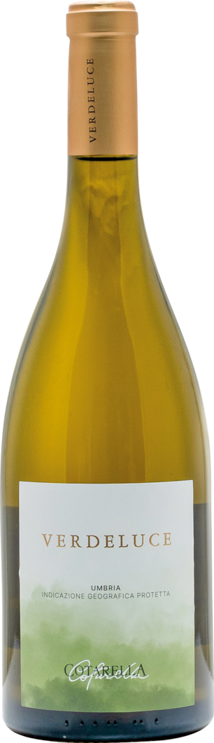 2024 Verdeluce Bianco reflection