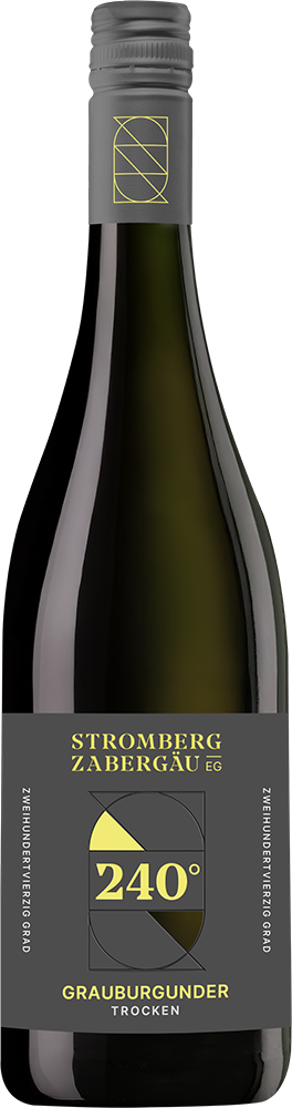 2024 240° Entdeckung Grauburgunder