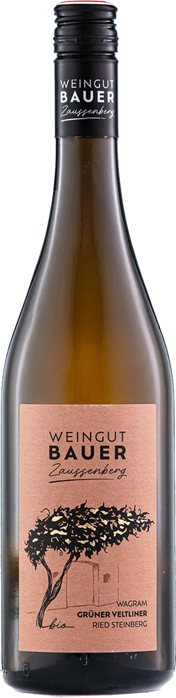 2023 Grüner Veltliner "Ried Steinberg" BIO