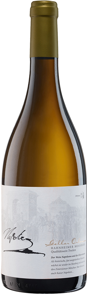 2024 Gelber Orleans Hahnheimer Moosberg