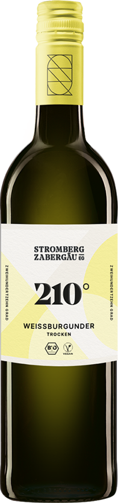 2024 180° Erkundung Weißburgunder BIO