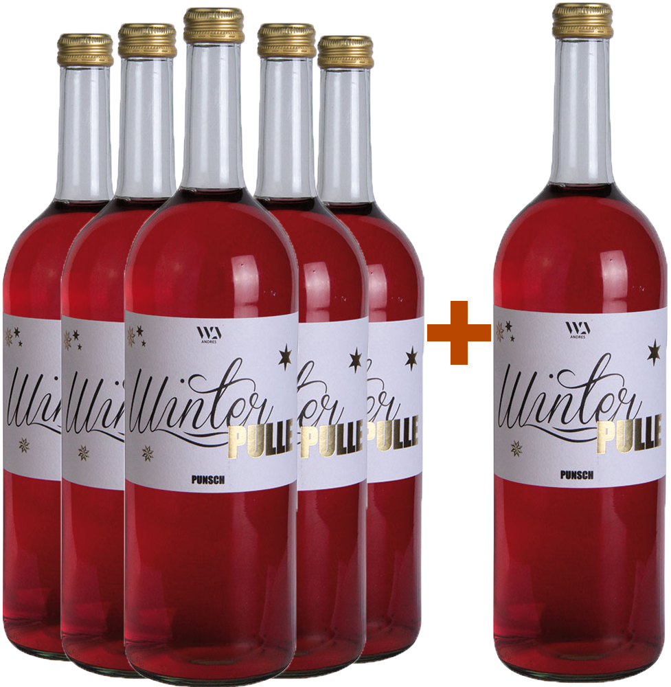 5+1 Winterpunsch alkoholfrei 1,0 L
