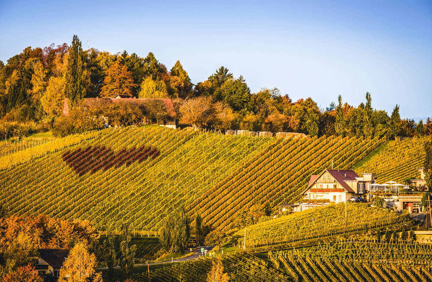 Die Steiermark im Glas – Entdecken Sie Tschermonegg