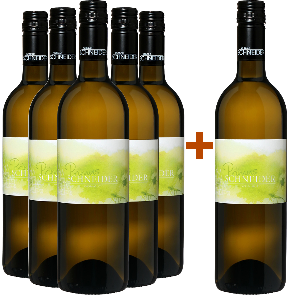 5+1 Gemischter Satz Jungwein PRIMUS