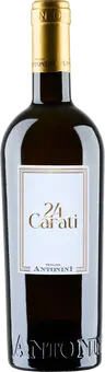 24 Carati Bianco