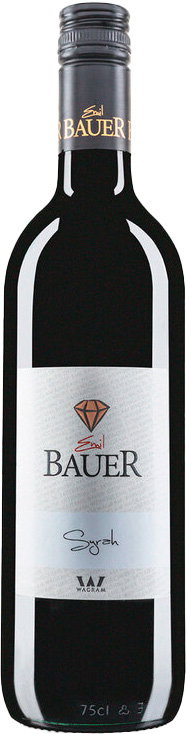 2017 Syrah Barrique reflection