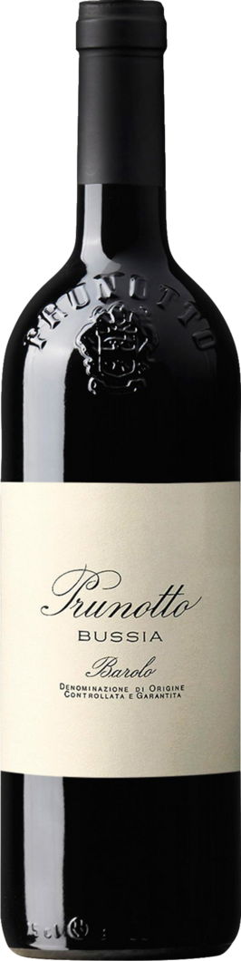 2019 Bussia Barolo Prunotto reflection