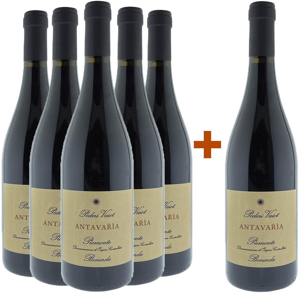 5+1 Bonarda Antavařìa Piemonte DOC