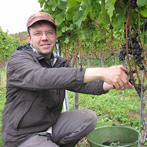 Siegfried Vogel