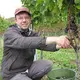 Weingut Siegfried Vogel