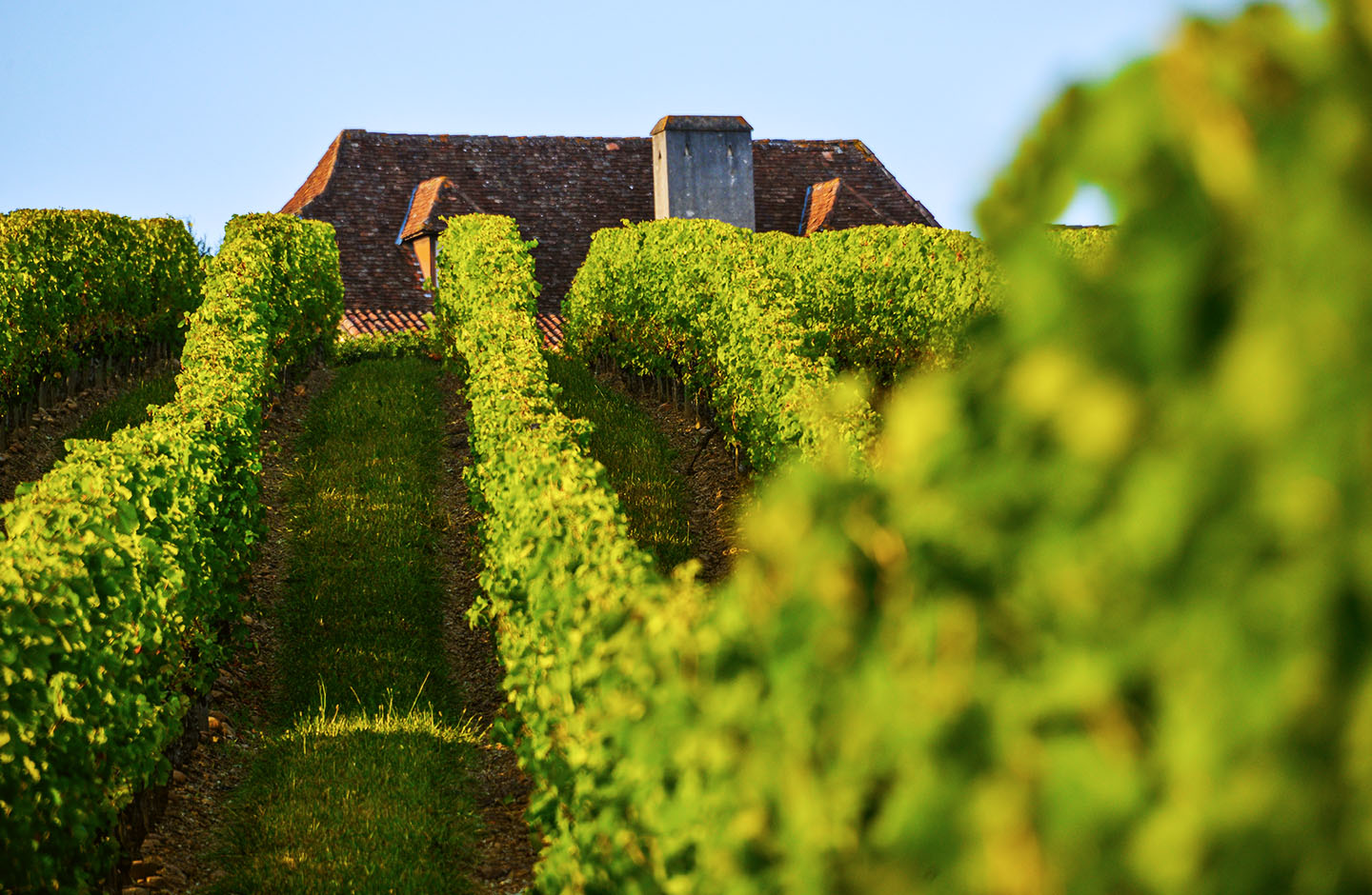 Domaine Mont d’Oraàs