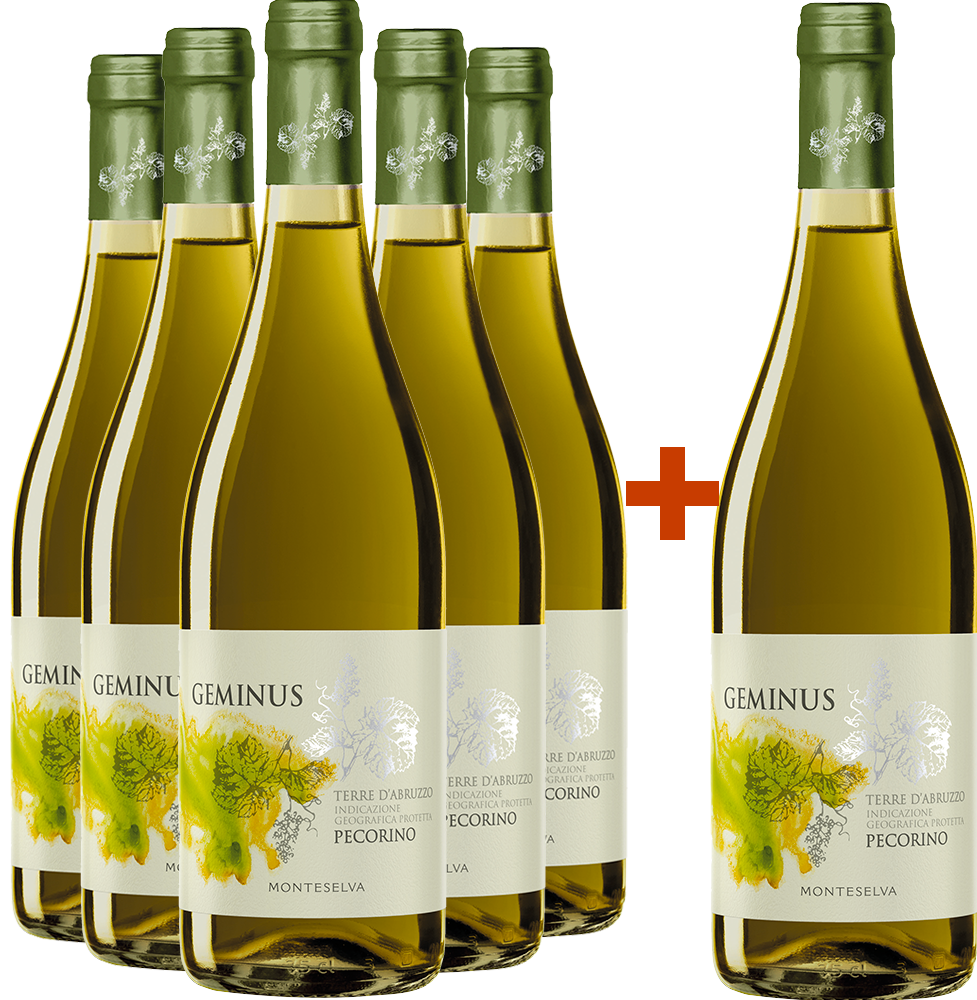 5+1 Paket Geminus Pecorino Terre d'Abruzzo IGP