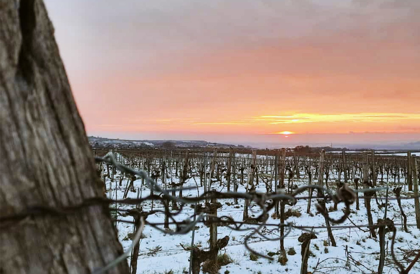 Stefan Hagmann - Hof zu Priel