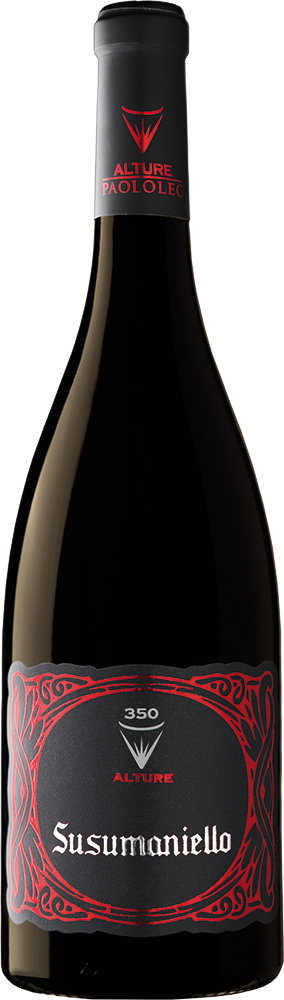 2024 Susumaniello Valle D'Itria IGP reflection