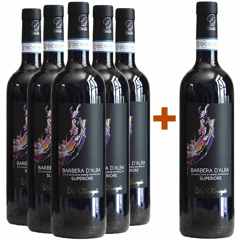 5+1 Paket Barbera d'Alba Superiore DOC