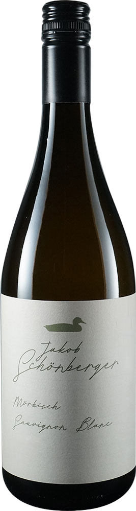 2025 Mörbisch Sauvignon Blanc BIO