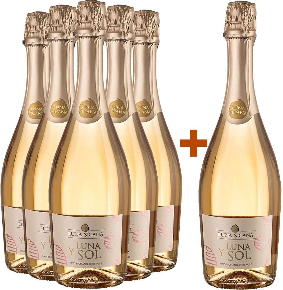 5+1 Paket Luna Y Sol Spumante Rosé BIO BIO