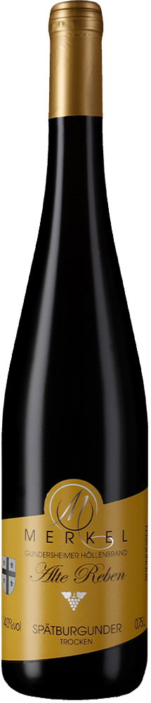 2023 Gundersheimer Höllenbrand Spätburgunder Alte Reben